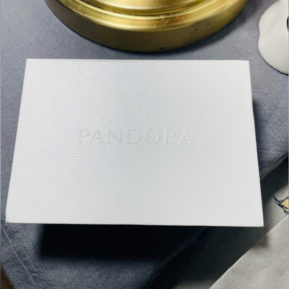 PANDORA Jewelry Care Kit